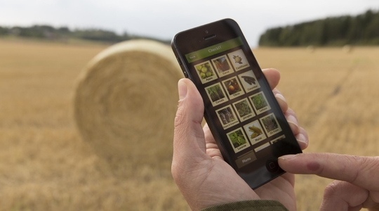 防伪查询—查验产品真伪