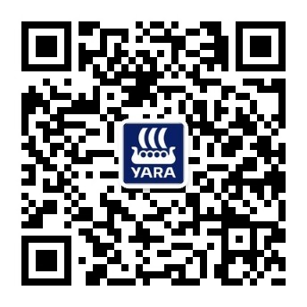 “雅苒国际”微信公众号