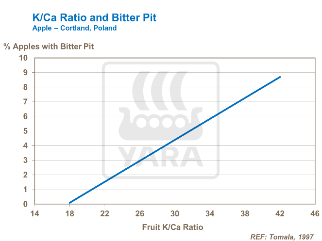 钾钙比与苦痘病