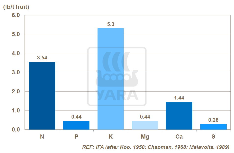 大量、中量元素的移除量