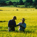 雅苒国际公司概况