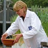 创新、研究与发展